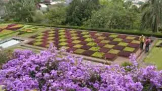 Mijn schitterende reis naar Madeira met  Garden Tours