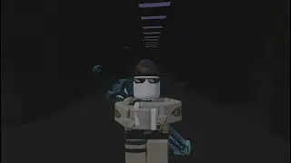 Experience of Roblox FPE:S