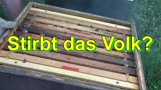 Stirbt das Volk?