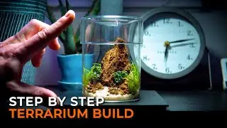 Creating a Mountain in a Terrarium | Step by Step