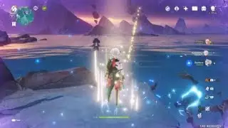 Genshin Impact - Thunderous Fishing in co-op (Seirai island)