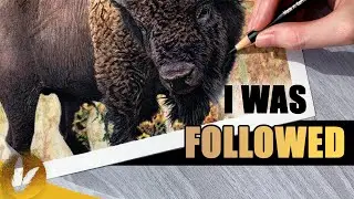 I Was Followed | Story Timelapse Colored Pencil Drawing