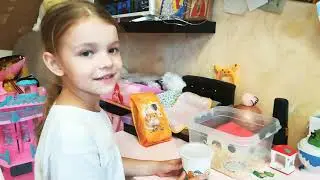 хомячок джунгарский мой новый питомец новоселье