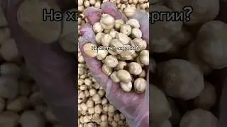 Польза фундука 🌰