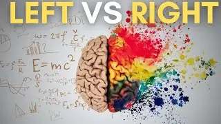 Left vs Right Brain People: It's Not That Simple
