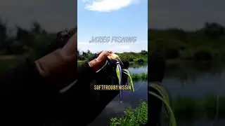 SOFTFROG By NISSIN🤔👍|| 