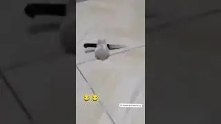 😂😂😂😂 #shorts #youtubeshorts #viralshorts #trendingshorts