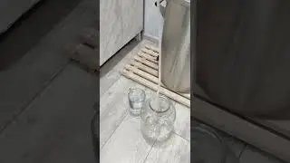 Яблочный Кальвадос по Домашнему!