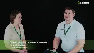 Выращивание рапса: мнение агронома