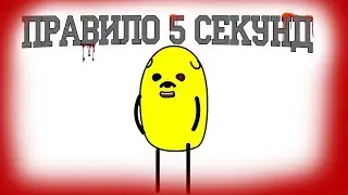 Правило пяти секунд (АНИМАЦИЯ)