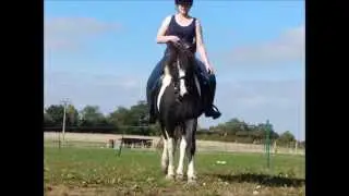 Horsey Photoshoot | September 2015