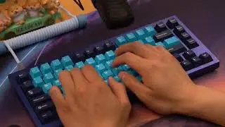 Wuque WS POM+ Linear Switches