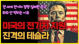 "미국의 전기차 지원" 진격의 테슬라..전 세계 전기차 점령 실패한 중국과 BYD
