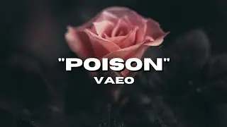 Vaeo - poison (feat rouri404)