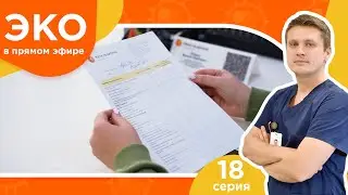 ЭКО в прямом эфире - 18 серия - Наращивание эндометрия