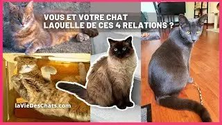 VOUS ET VOTRE CHAT : LAQUELLE DE CES 4 RELATIONS ?