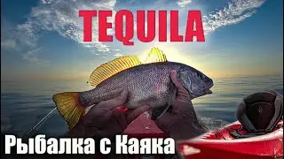 Рыбалка с каяка Tequila Point 65n