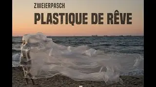 Zweierpasch - Plastique de Rêve