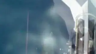 Dolphins - In front of a boat