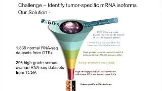 Big Data for Ovarian Cancer Detection and Treatment