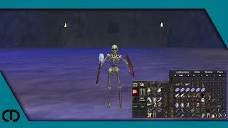 P99 Corelion: Equipment Overview
