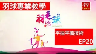 羽毛球 羽球教學 平抽 接殺球 平抽平擋技術EP20