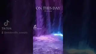 Mini Vlog