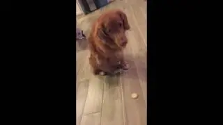 Orry Mannequin Challenge 1