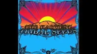Tribal Seeds - Night Raver