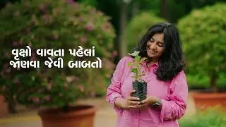 વૃક્ષો વાવતા પહેલાં જાણવા જેવી બાબતો|  Mission Three Million Trees | My Baby Tree