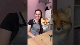 Магия покраски лисы❤️