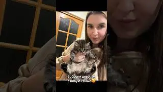 Девочка теперь в новое семье🥳 скучаю уже по ней🥺 #семья #котики