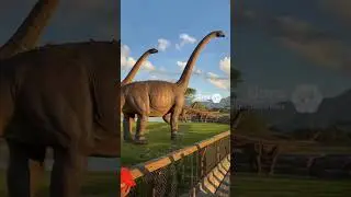 Paleo Park! 