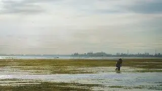 What Is Seagrass?!