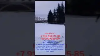 грузоперевозки  Таджикистан-Россия