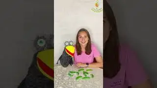 Музыкальная игра для детей младшего дошкольного возраста "Ворона и горох"