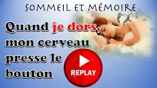 Quand je dors, mon cerveau presse le bouton replay - sommeil et mémoire