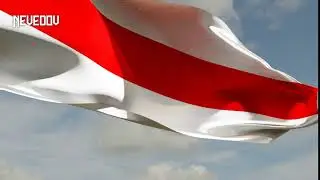 БЧБ - Анимация