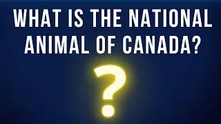 What is the national animal of Canada?