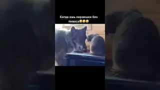 #рек