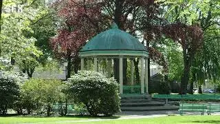 Garden sound ambience fresh air with bird singing