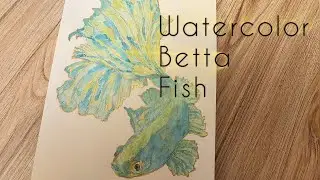 How to paint Watercolor Betta Fish for Beginners |@ArtandcraftbyShakira