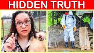 They Won't Tell You THIS About Avian Flu