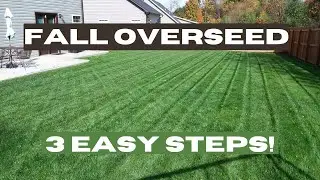 Fall Overseed - Fescue Lawns - 3 Basics for the Average Homeowner
