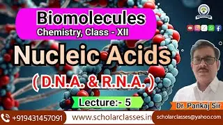 Nucleic Acids Explained: Structure, Function, & Importance ll Biomolecules ll Dr. Pankaj Sir