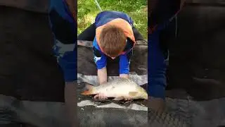 Сын в теме #карпфишинг #fishing #карповаяловля #shortvideo