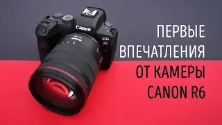 New Canon R6 Camera: First Impressions of Photography