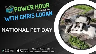National Pet Day