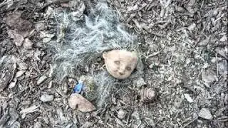 [k313] - The Tormented Flesh Will Not Find Rest (11.11.11)
