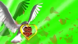 i love you green screen Effects  i love you speciel 3D Animated Video royalty free animationNo 100